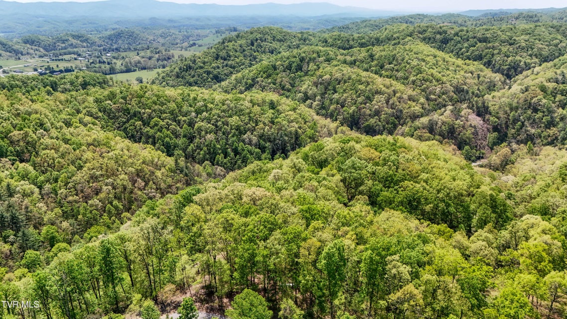 Photo #18: Tbd Green Springs Road
