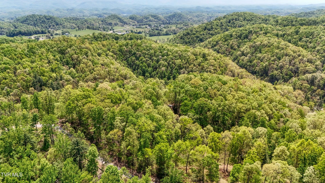 Photo #19: Tbd Green Springs Road