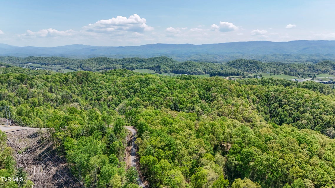 Photo #21: Tbd Green Springs Road