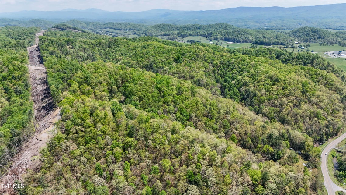Photo #7: Tbd Green Springs Road