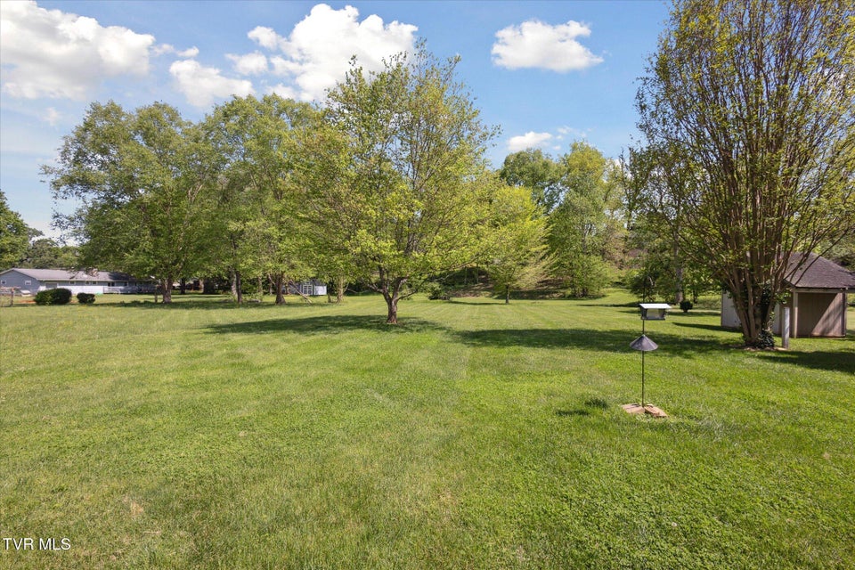 Photo #35: 2905 Antioch Road