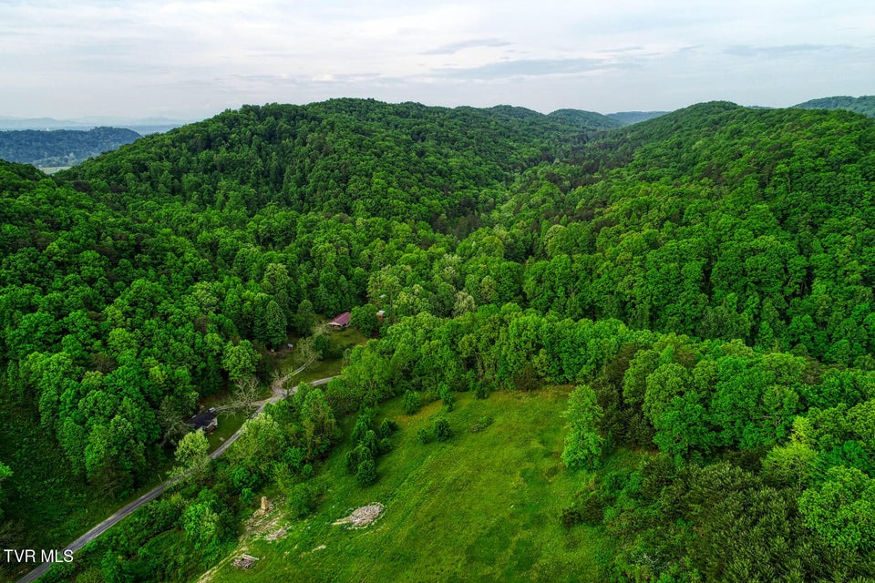 Photo #3: Tbd Seay Hollow Road