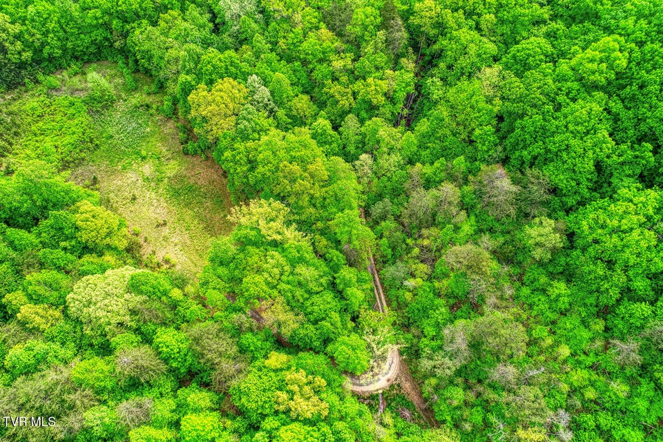 Photo #4: Tbd Seay Hollow Road