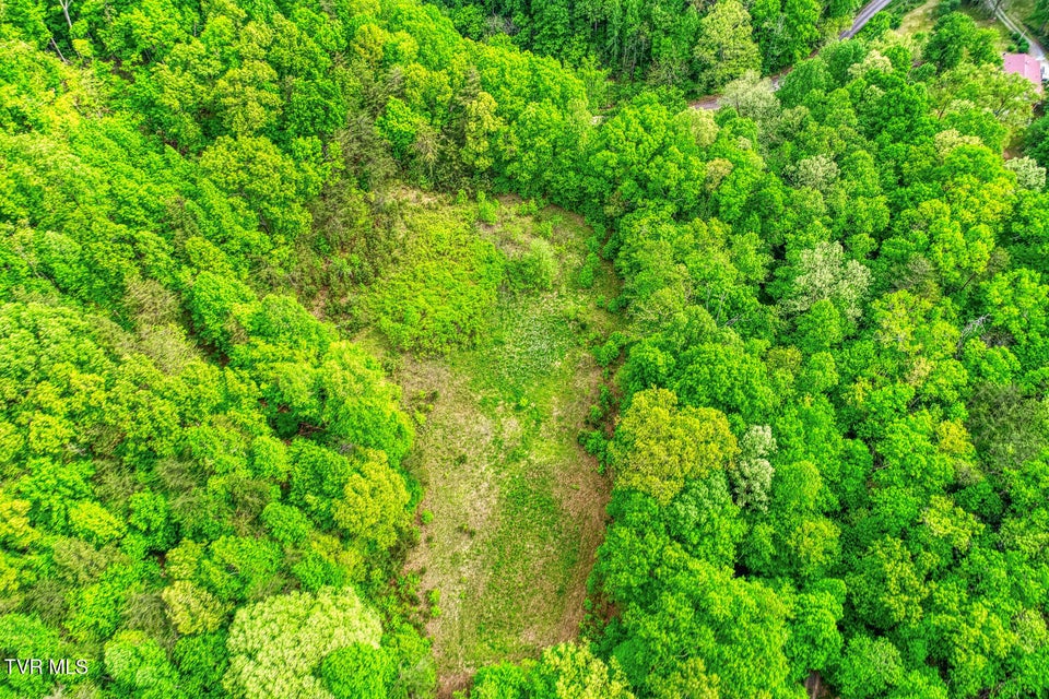 Photo #5: Tbd Seay Hollow Road