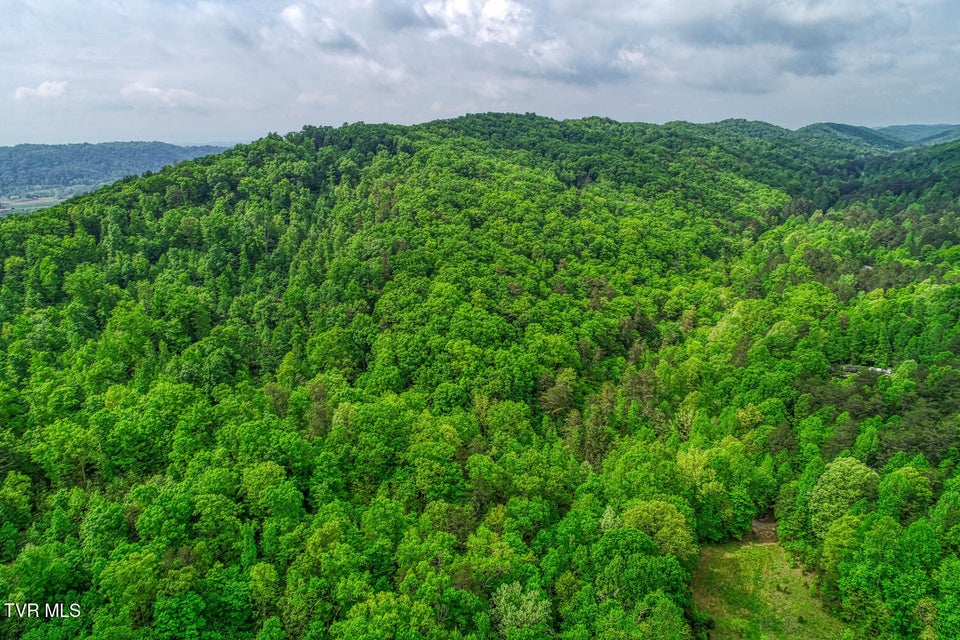 Photo #6: Tbd Seay Hollow Road