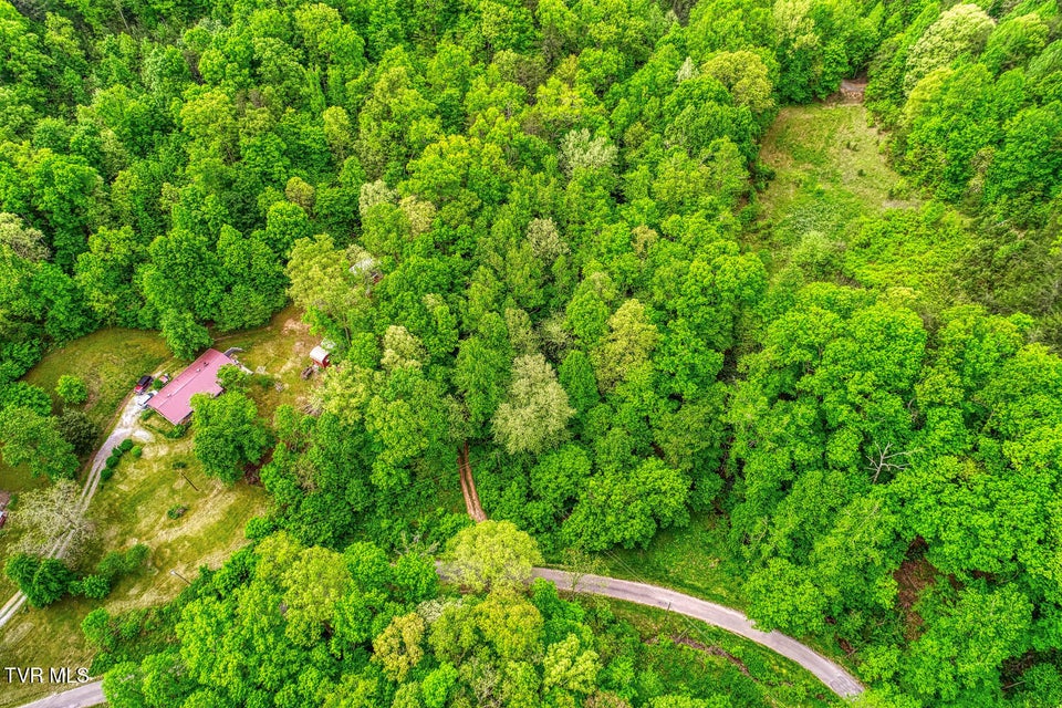 Photo #7: Tbd Seay Hollow Road
