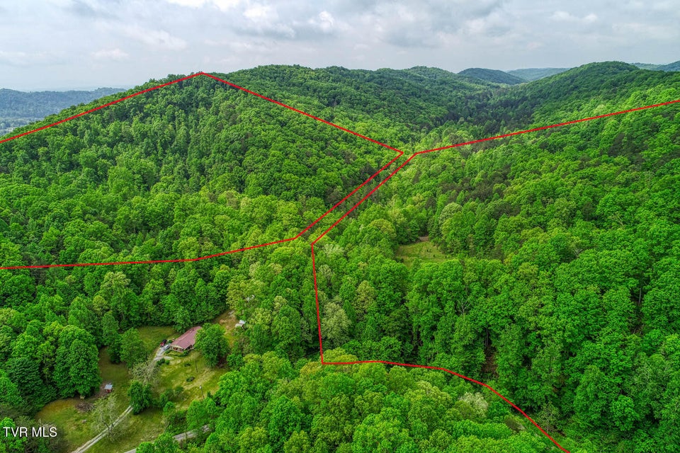 Photo #8: Tbd Seay Hollow Road