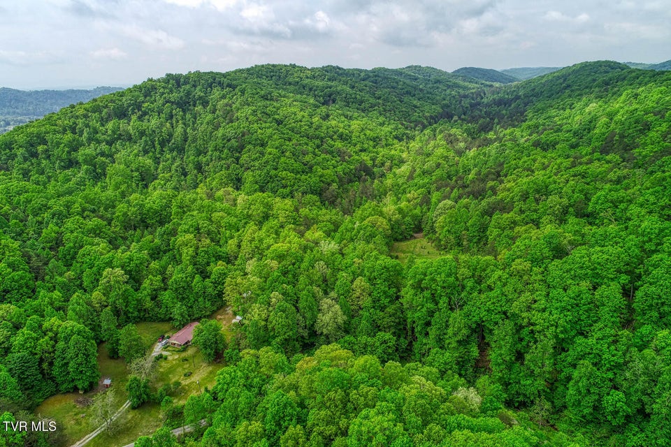 Photo #9: Tbd Seay Hollow Road