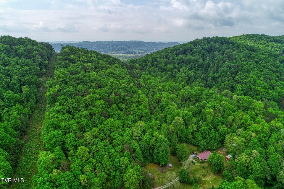 Photo #10: Tbd Seay Hollow Road