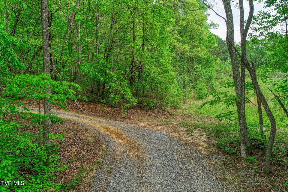 Photo #11: Tbd Seay Hollow Road