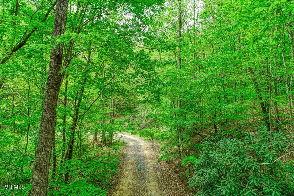 Photo #12: Tbd Seay Hollow Road