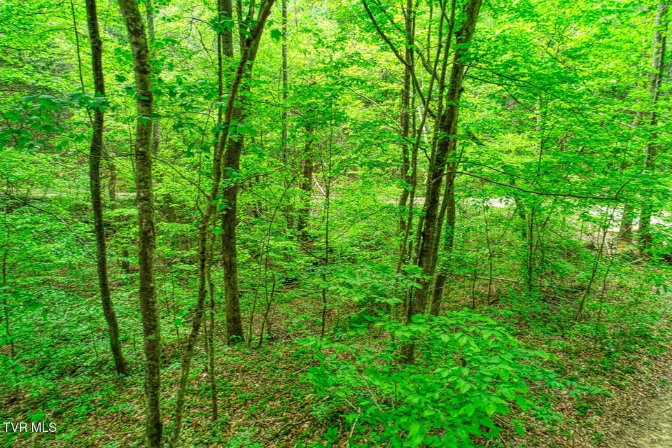 Photo #13: Tbd Seay Hollow Road