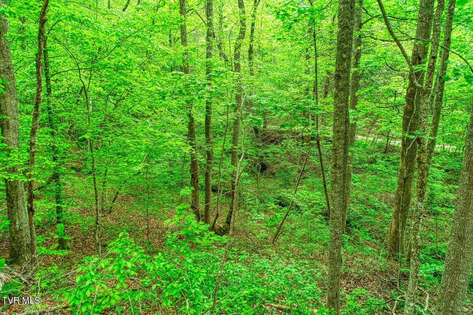 Photo #14: Tbd Seay Hollow Road
