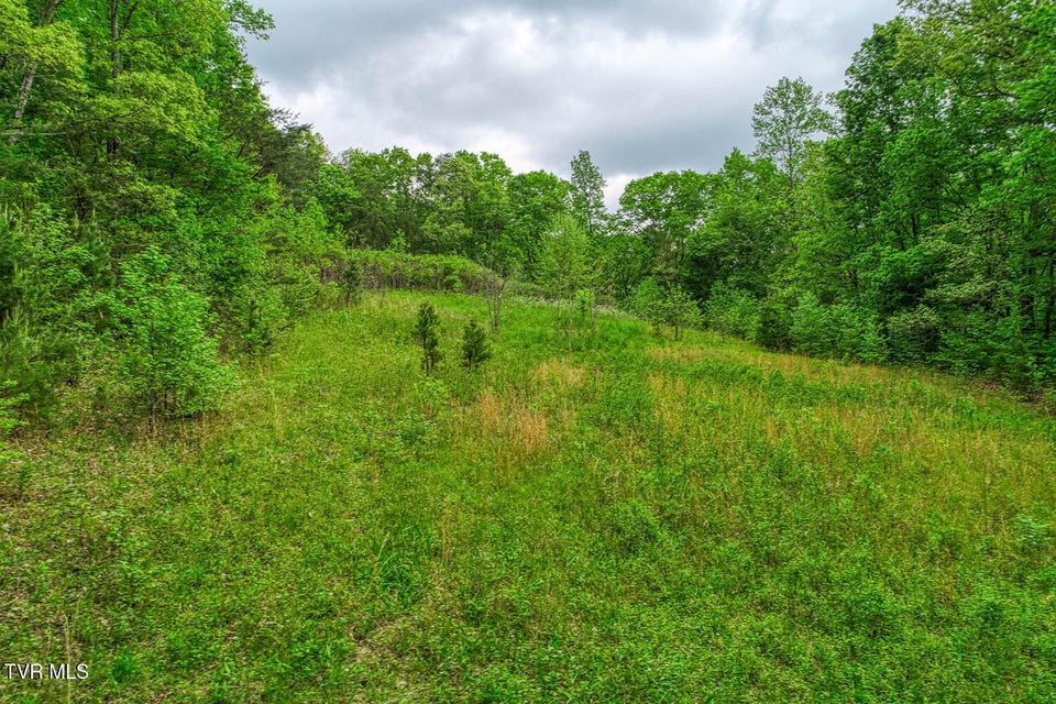Photo #15: Tbd Seay Hollow Road