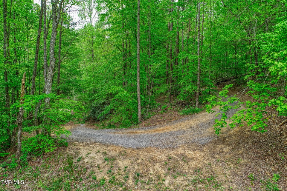 Photo #16: Tbd Seay Hollow Road