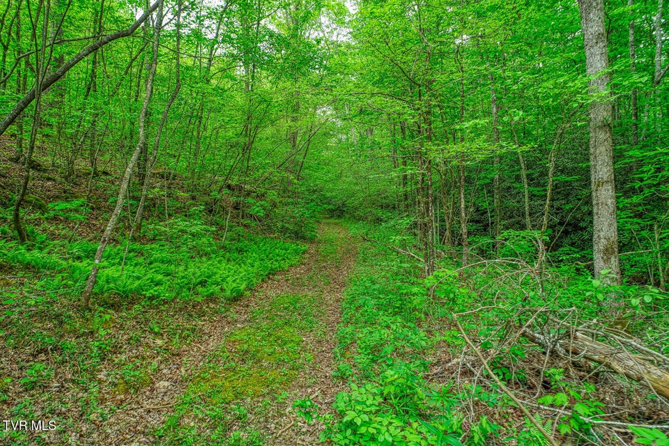 Photo #17: Tbd Seay Hollow Road