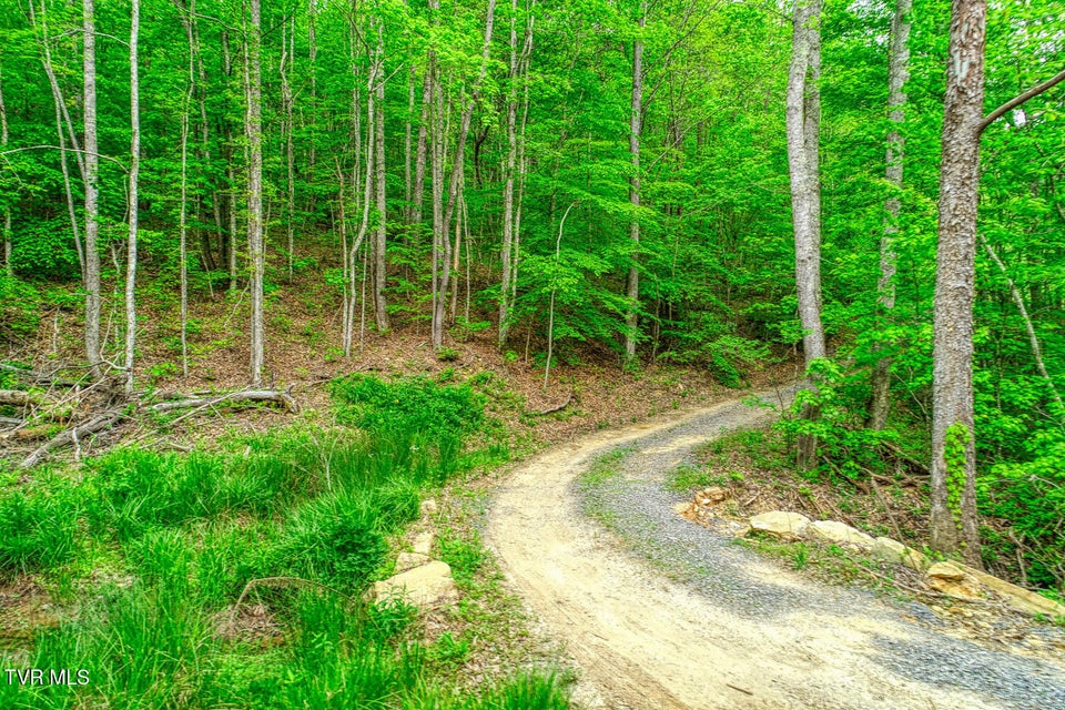 Photo #18: Tbd Seay Hollow Road