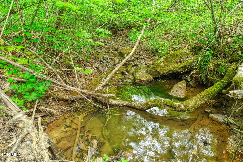 Photo #19: Tbd Seay Hollow Road