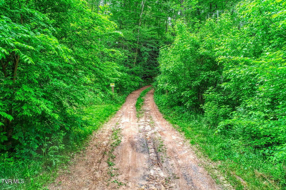 Photo #20: Tbd Seay Hollow Road