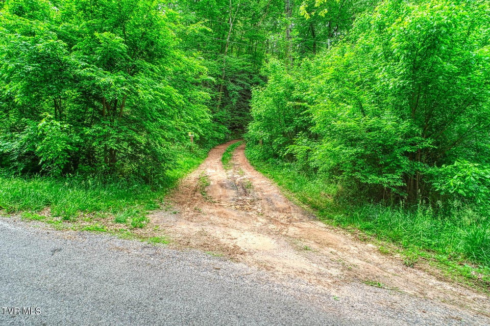 Photo #21: Tbd Seay Hollow Road