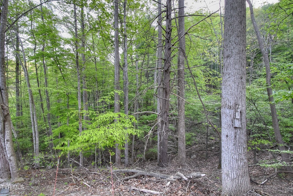 Photo #6: 106 Chandler Cove Road