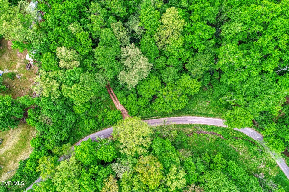 Photo #25: Tbd Seay Hollow Road