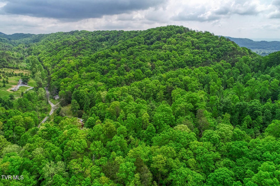 Photo #28: Tbd Seay Hollow Road