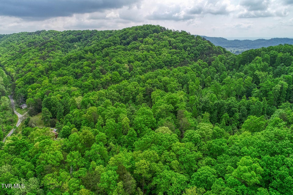 Photo #29: Tbd Seay Hollow Road