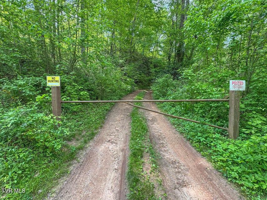 Photo #30: Tbd Seay Hollow Road