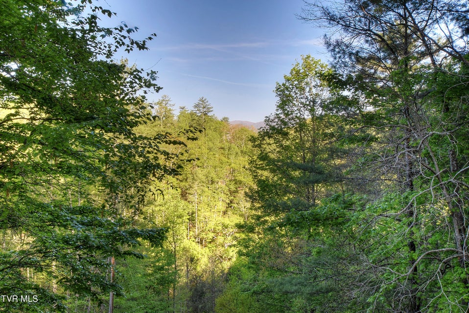 Photo #39: 106 Chandler Cove Road