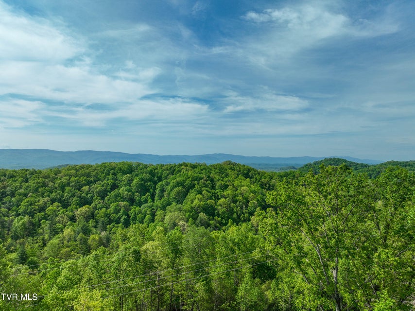 Photo #25: Tbd Green Springs Road