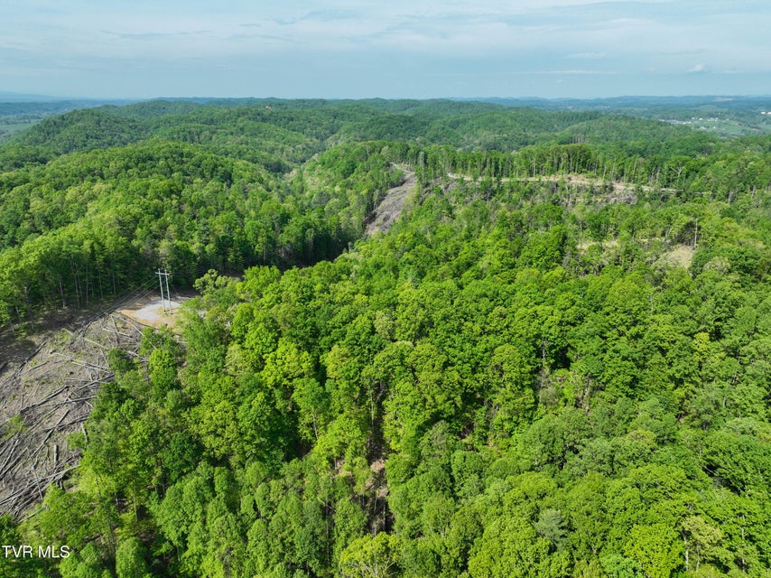 Photo #34: Tbd Green Springs Road