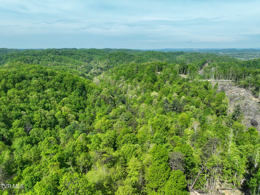 Photo #30: Tbd Green Springs Road