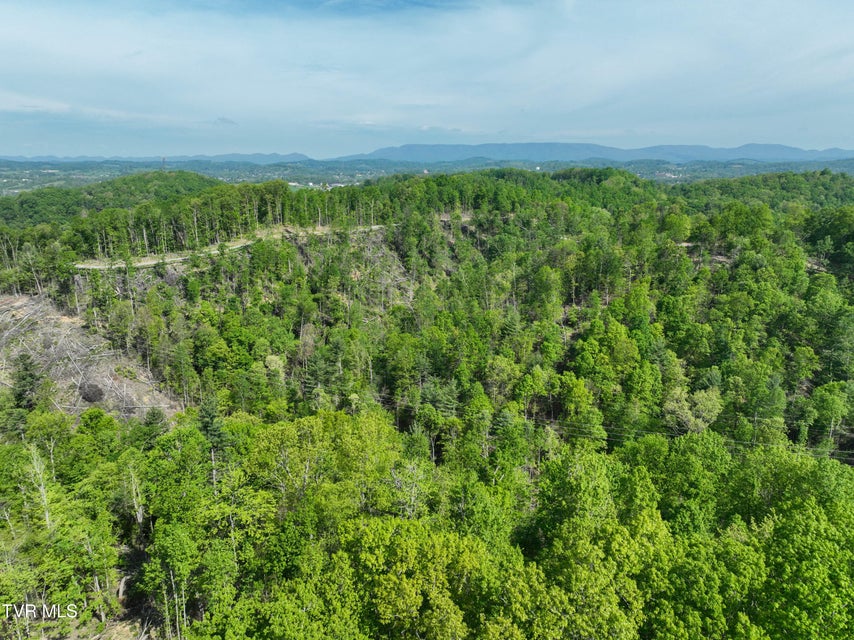 Photo #31: Tbd Green Springs Road