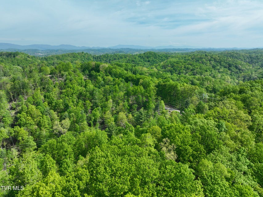 Photo #32: Tbd Green Springs Road