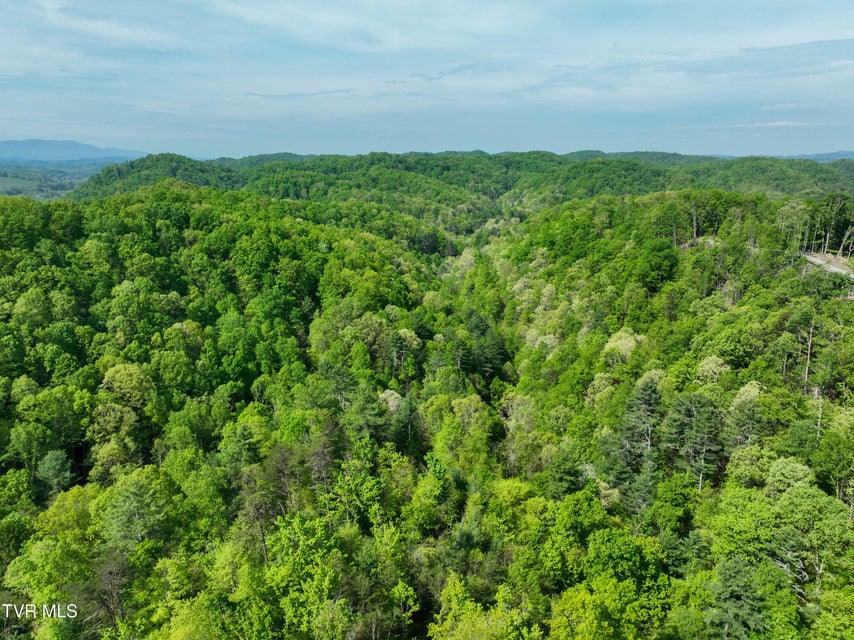 Photo #33: Tbd Green Springs Road
