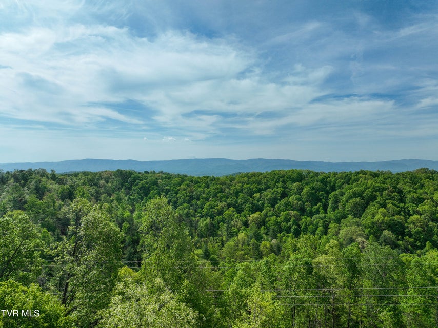 Photo #35: Tbd Green Springs Road
