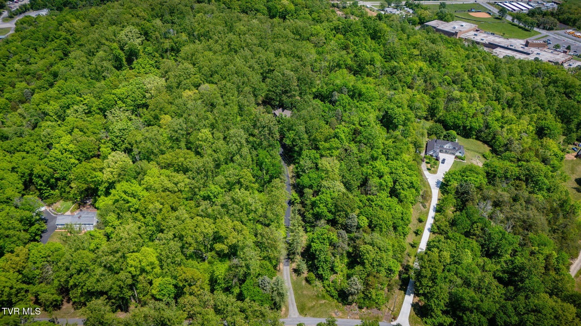 Photo #56: 295 Southwood Drive