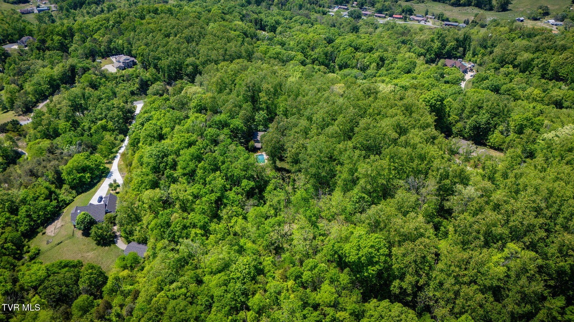 Photo #58: 295 Southwood Drive