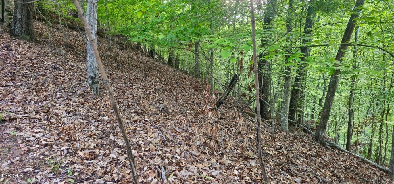 Photo #2: 1445 Echota Lane