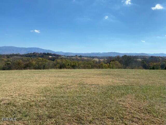 Photo #9: Lot 92 River View Drive