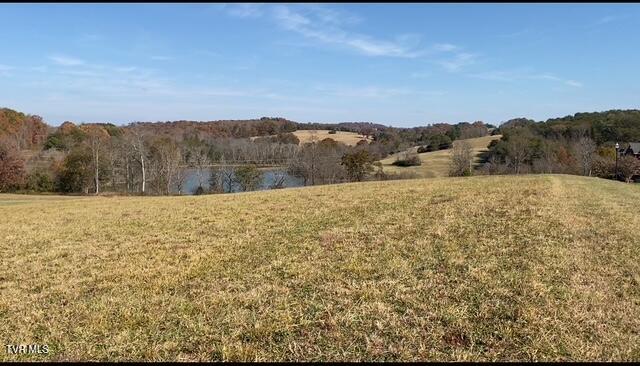 Photo #10: Lot 92 River View Drive