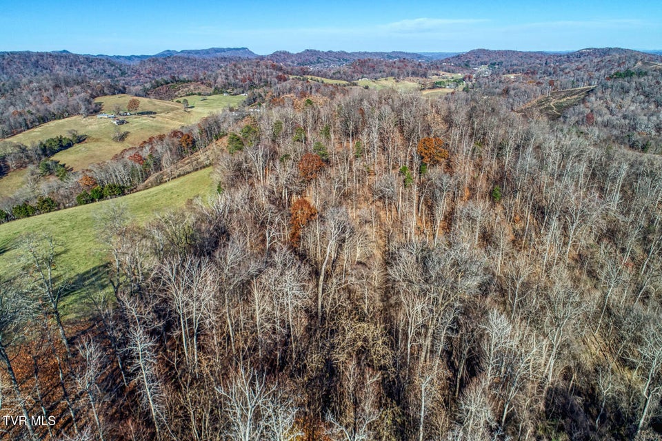 Photo #9: Tbd Chestnutt Town Road