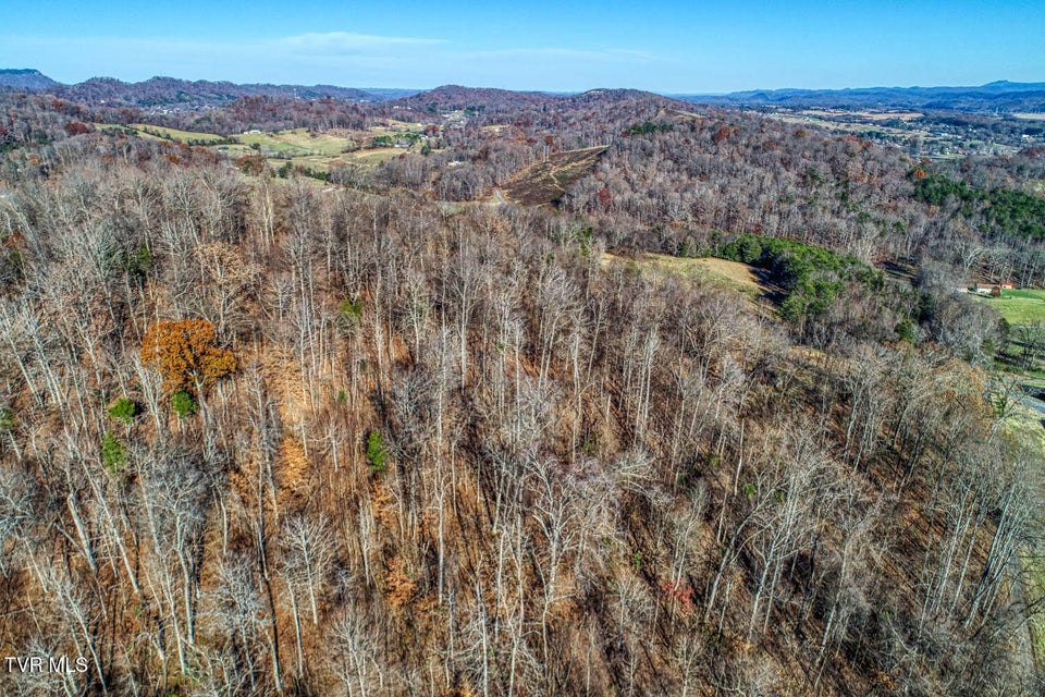 Photo #6: Tbd2 Chestnutt Town Road