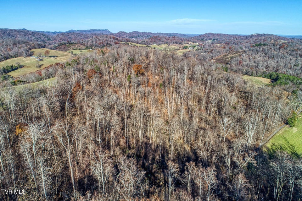 Photo #8: Tbd2 Chestnutt Town Road