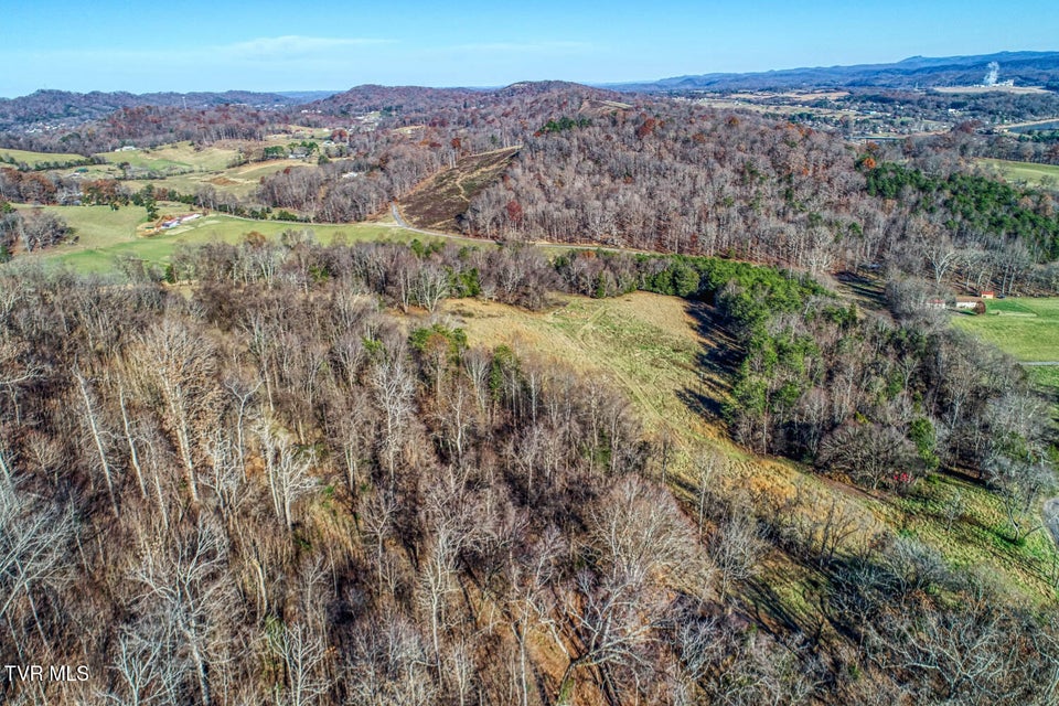 Photo #9: Tbd2 Chestnutt Town Road