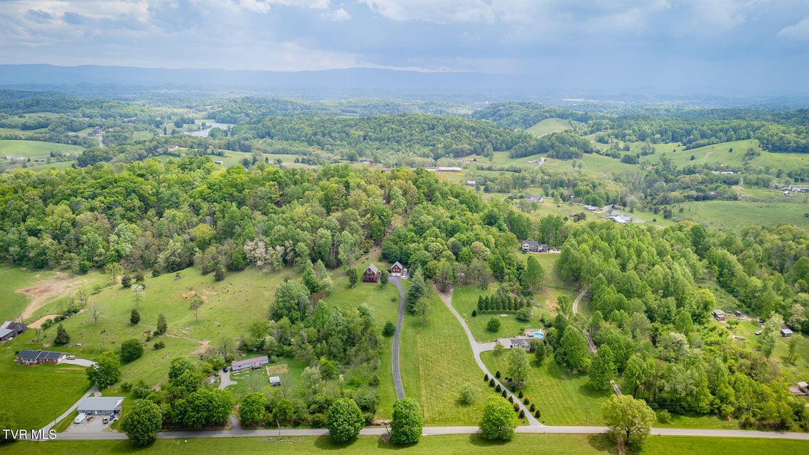 Photo #56: 12138 Dettor Road