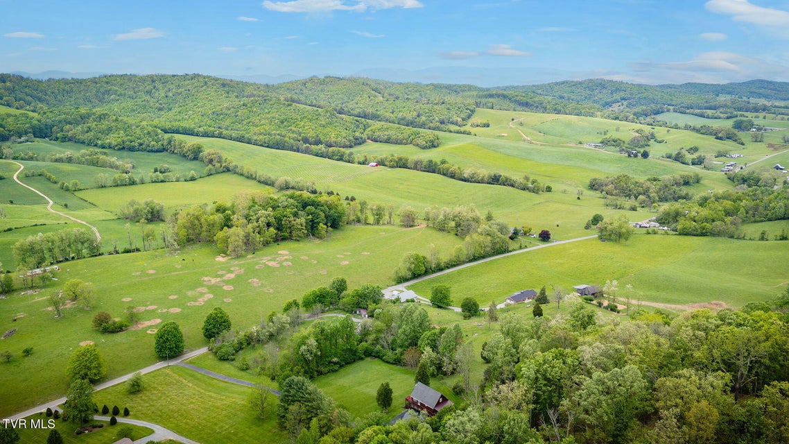 Photo #57: 12138 Dettor Road
