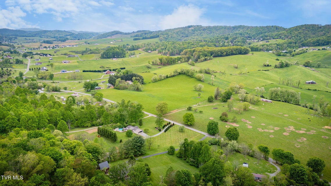Photo #59: 12138 Dettor Road