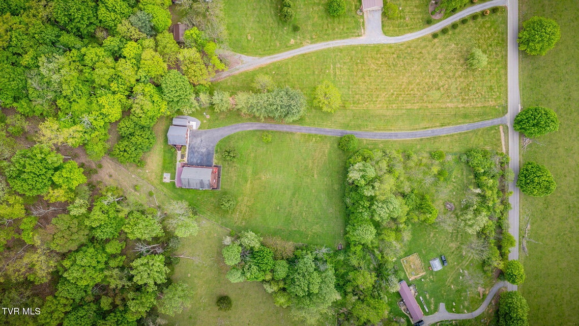 Photo #60: 12138 Dettor Road